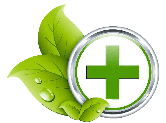 A1 Apteka loyihasi logosi